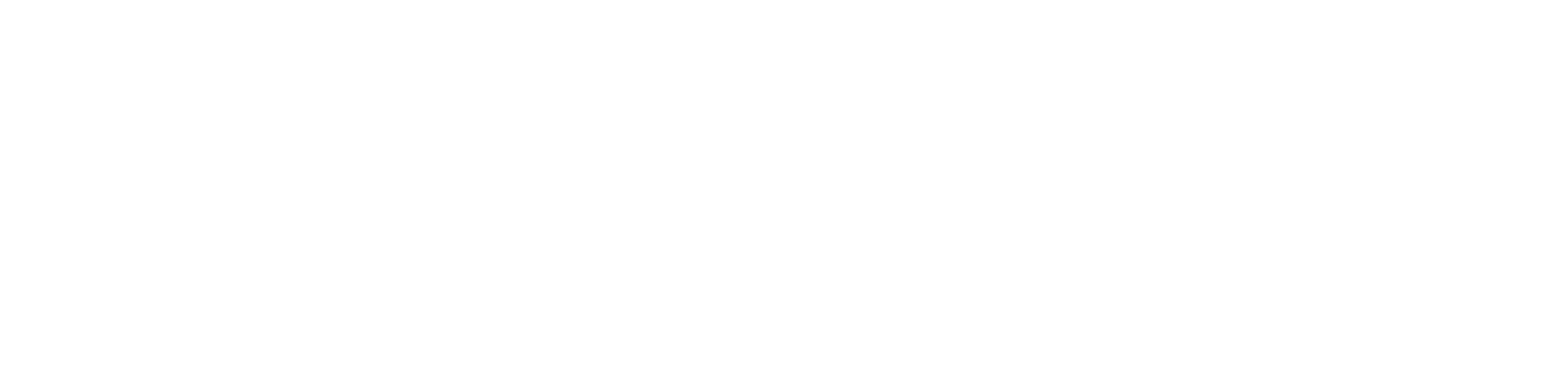 Branduri.ro